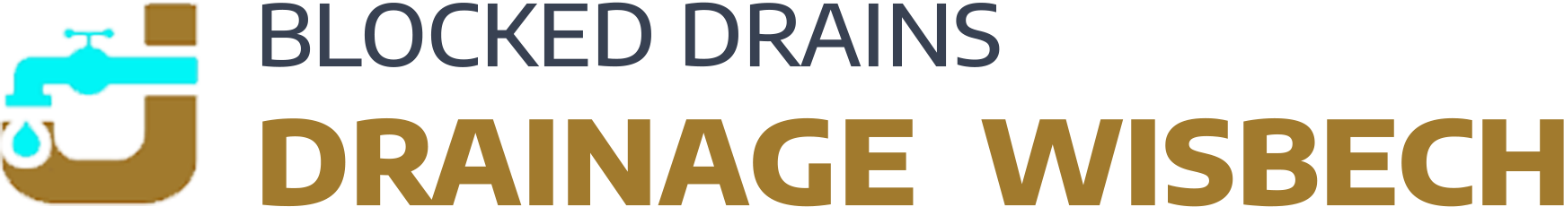 website logo